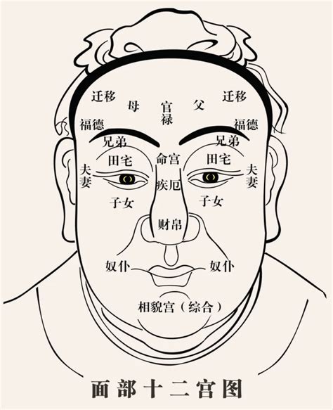 福堂 面相|「相术」古代人“看脸”的专业方法——面相十二宫